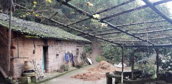 户口已迁走，农村拆迁或异地搬迁宅基地上房屋如何补偿？