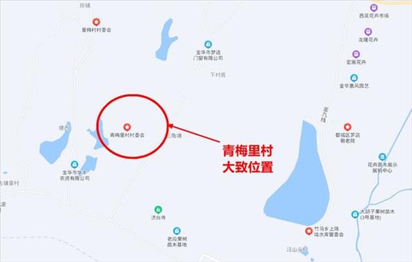 金华市婺城区竹马乡青梅里村房屋拆除面积约为20万平方米